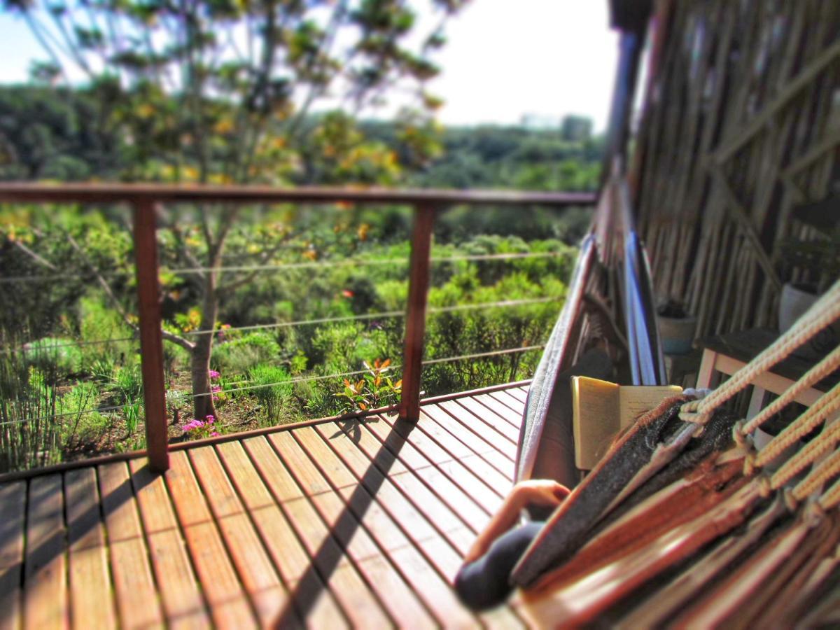 Hotel Woodlands Self Catering Knysna Exterior foto
