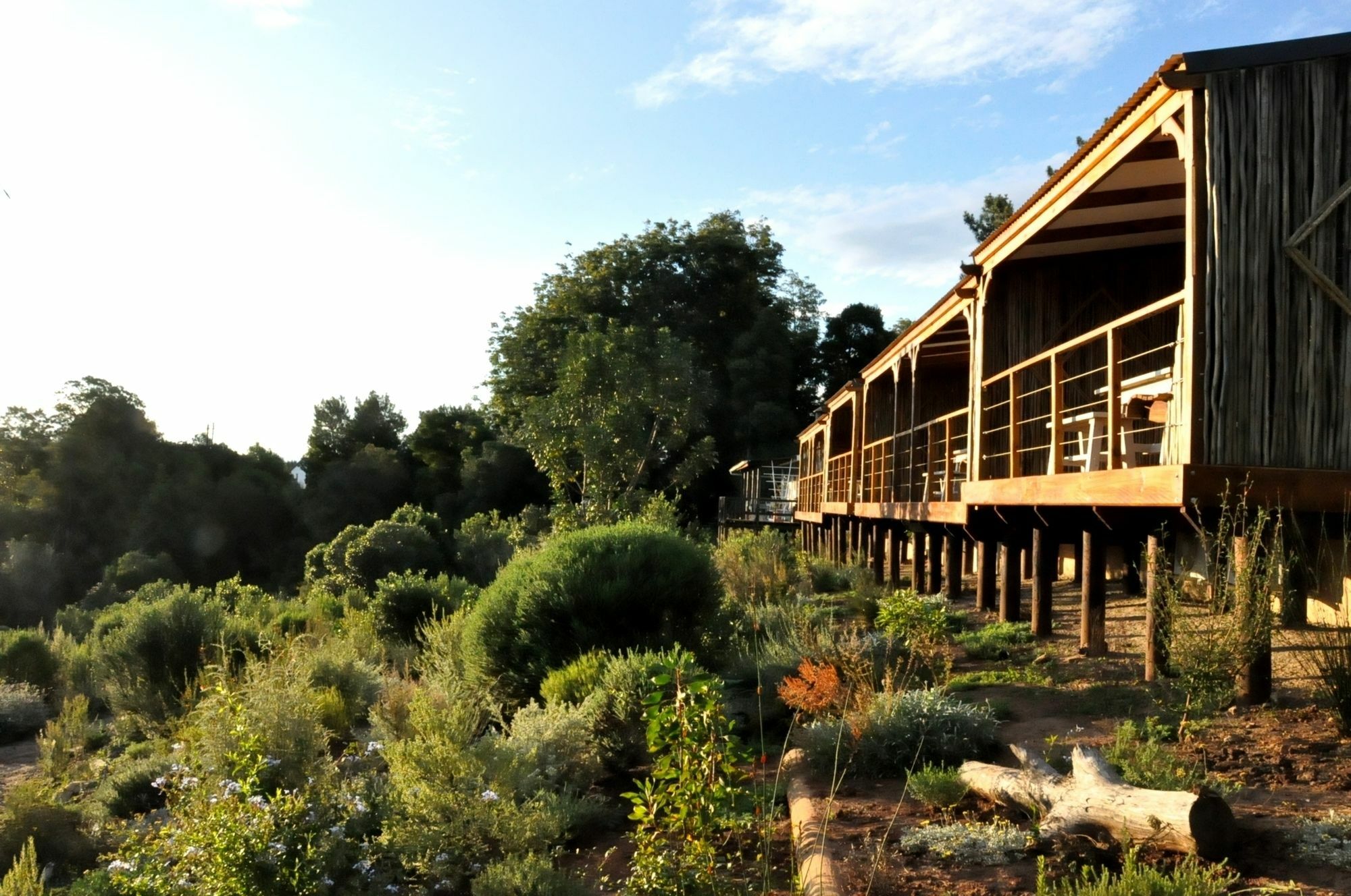 Hotel Woodlands Self Catering Knysna Exterior foto